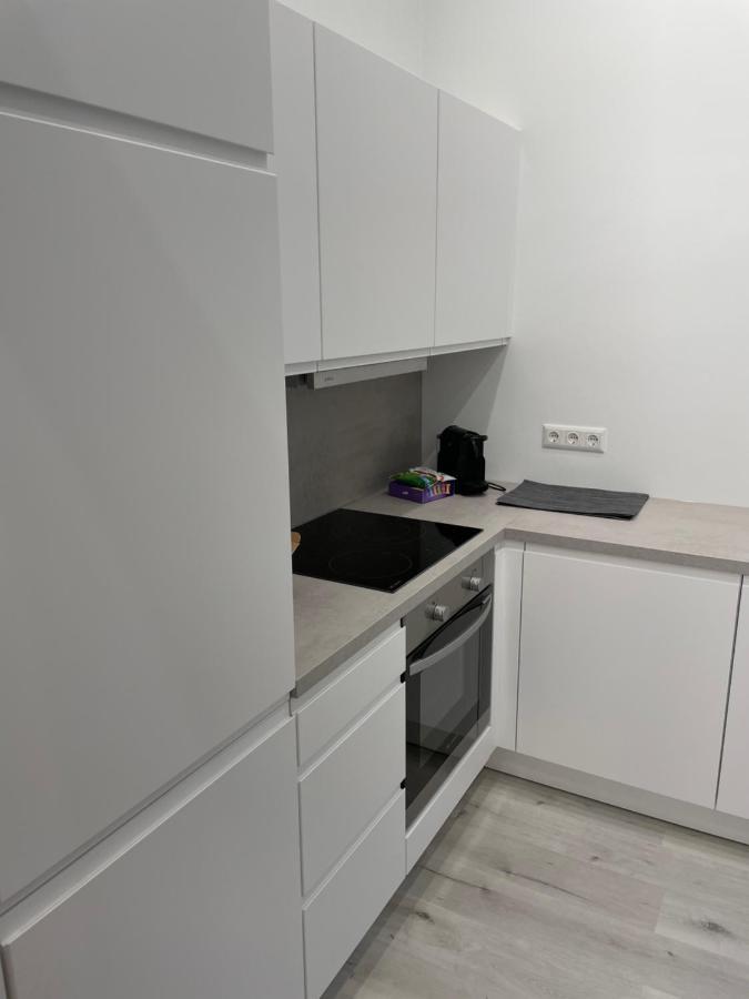 100M2 Apartment Naehe 1010 Wien 外观 照片