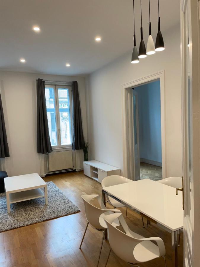 100M2 Apartment Naehe 1010 Wien 外观 照片